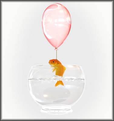Fish n baloon